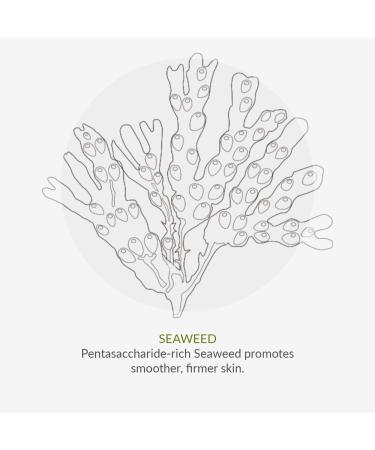 Green People Beauty Boost Skin Restore 50ml | Natural & Organic Night Moisturiser with Wakame Seaweed for Dry Tired Normal Skin | Paraben Free & Ethyl Alcohol Free | Cruelty Free & Vegan - Buy Online on GoSupps.com