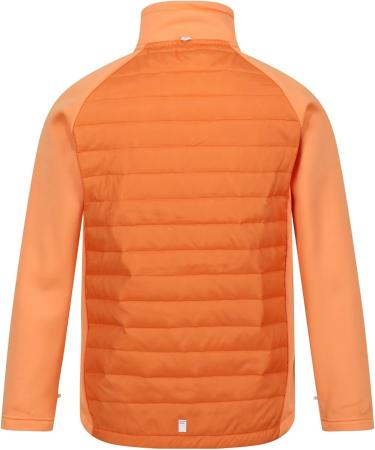 Hydrate VIII 3in1 Apricot Crush/Seal Grey 3-4yrs - Buy Online on GoSupps.com