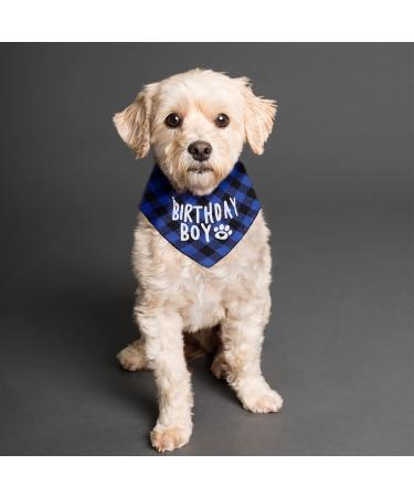 Kinbom Blue Checkered Dog Birthday Bandana - Pet Scarf for Small Medium & Large Dogs Perfect Birthday Party Accessory - Buy Online on GoSupps.com