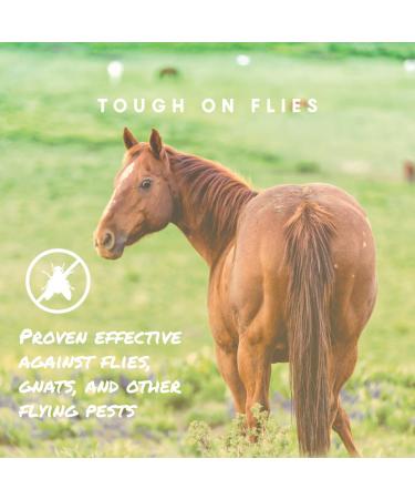 Espree Aloe Herbal Fly Repellent Horse Spray 32 oz - Natural Insect Repellent for Horses - Buy Online on GoSupps.com