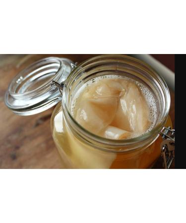 Buy Organic Kombucha SCOBY - Live Culture Limited Edition | Best for Home Brewing - Buy Online on GoSupps.com