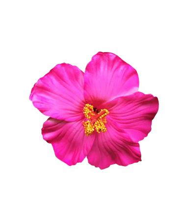 Flowers hair clip hair clip flowers multi -colored roses hairdresses hair jewelry for girls women party beach wedding (hot red one size) 1 piece (1 Pack) hot red