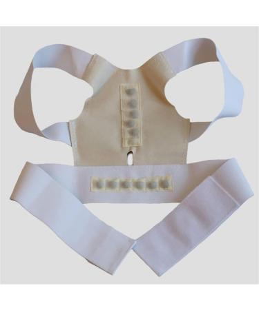 Back Support Back Brace Lumbar Support Posture Corrector Orthopedic Corset Back Waist Support with Shoulder Brace Spinal Back Support Belt(White X-Large) X-Large White - Buy Online on GoSupps.com