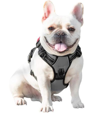 Phoepet Reflective Adjustable Dog Harness with Training Handle | XS Gray Black | Anti-Educational Easy Tightening ID Card & Metal Hooks - Buy Online on GoSupps.com