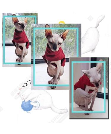 Sphynx Hairless Cat T-shirt - Soft Cotton Vest for Devon, Cornish, and Peterbald Cats (Cherry Red, Small) - Buy Online on GoSupps.com
