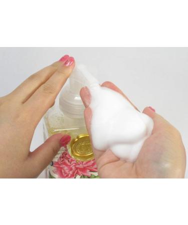 Michel Design Works Scented Foaming Hand Soap Season's Greetings - Buy Online on GoSupps.com