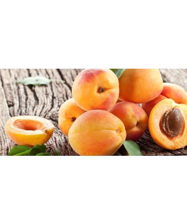 O l na Organic Apricot Kernel Oil Cold Pressed Massage Oil Organic Cleansing Oil Vegetable Oil Moisturizing Face Body Hair 250ml - Buy Online on GoSupps.com
