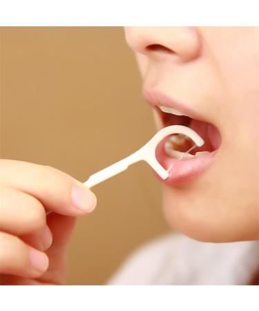 Queenbox Floss Picks (50 pcs) - Premium Dental Care Tools for Effective Teeth Cleaning - International Shipping Available - Buy Online on GoSupps.com
