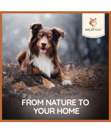 Wildfang Leather Chew for Dogs & Puppies - Naturally Tanned Soft Dog Toys | 3-Pack L 21 cm - Buy Online on GoSupps.com