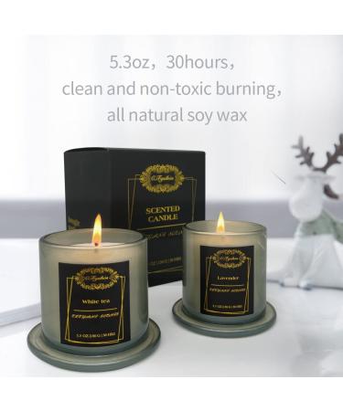 Juniper Lavender Soy Aromatherapy Candle | Home Scented Glass Jar Gift for Women - Buy Online on GoSupps.com
