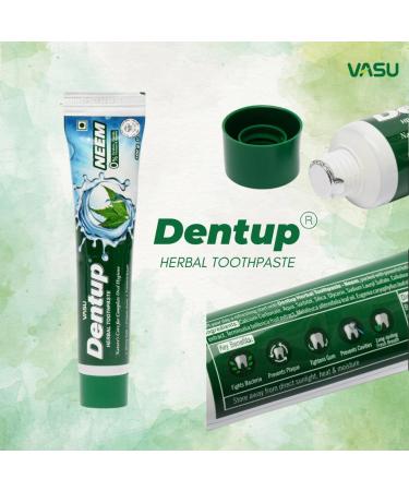 Dentup Herbal Toothpaste with Neem - Complete Oral Hygiene | Pack of 2 (100 gm x 2) - Buy Now - Buy Online on GoSupps.com