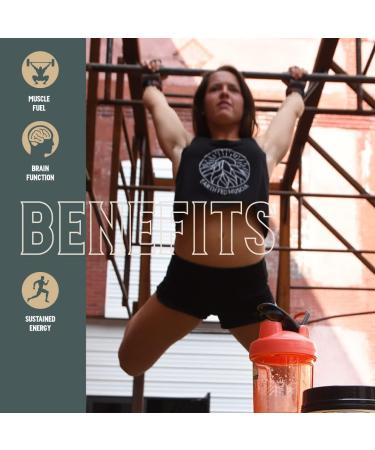 Earth Fed Muscle Stammpede Lemonade Pre Workout | Energy Boost Beta Alanine Caffeine Keto Friendly - 26 Servings - Buy Online on GoSupps.com