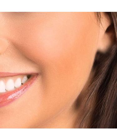 SHANY Paraben Free Powder Blush Fresh - Buy Online on GoSupps.com