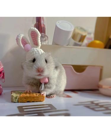 Handmade Bunny Hat for Small Pets - Adjustable Holiday Party Knit Hat for Snake, Hamster, Lizard, Guinea Pig - Buy Online on GoSupps.com