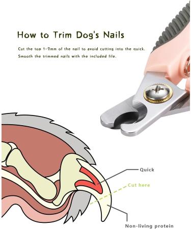 Lesfit Professional Dog & Cat Claw Scissors with Nail Files Premium Nail Clippers for Large & Medium Pets with Safety Protection - Buy Online on GoSupps.com