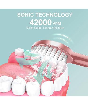 CNVOILA Electric Toothbrush Replacement Heads for Pulsonic Slim Series - Optimal Oral Care - Buy Online on GoSupps.com
