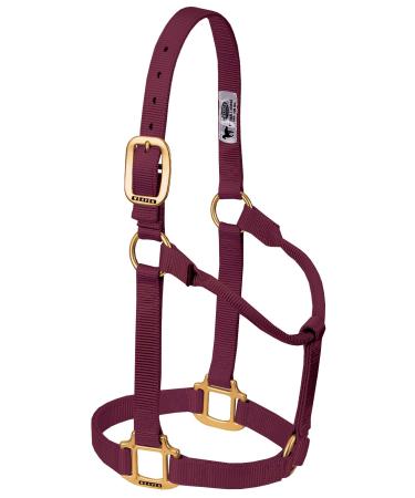 WEAVER Leather Non-adjustable halter burgundy Large Horse