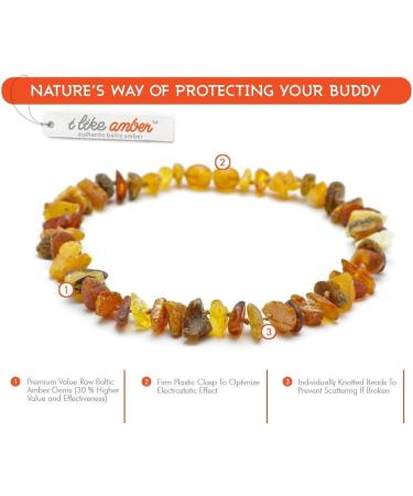 100% Baltic Amber Dog & Cat Bank Chain | Tick Protection Collars for Dogs & Cats | Ilikeamber.com - Buy Online on GoSupps.com