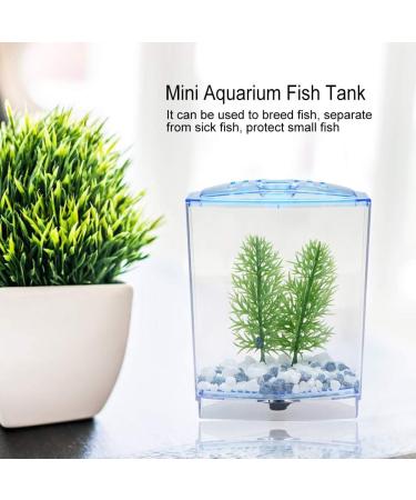 Cuque May Gifts Blue Insulation Panels Mini Transparent Fish Tank Mini Aquarium Tank Hatching Incubator Aquarium(Single Grid) - Buy Online on GoSupps.com