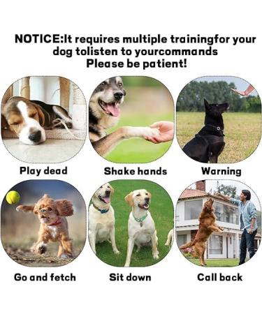 MART Deals LTD Stainless Steel Dog Whistle with Lanyard - Adjustable Frequencies Whistles for Recall and Pet Behavior Control - Neck Strap Dog Training Assistant for Barking Control - Buy Online on GoSupps.com