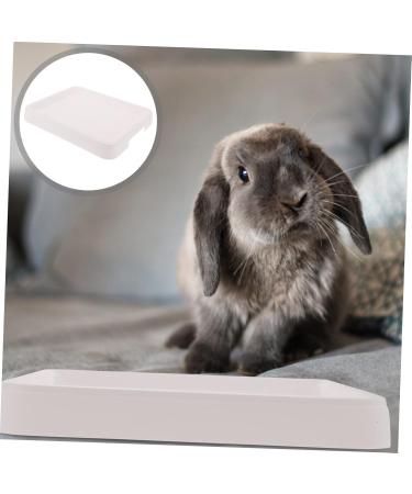 BESPORTBLE Box Hamster Toilet Pet Cage Large Corner Toilet Guinea Pigs Dog Toilet Indoor Cages Sieve Pp White 24.5X19.5X3CM White - Buy Online on GoSupps.com