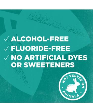 Buy TOMS OF MAINE Long Lasting Wicked Fresh Cool Mountain Mint Mouthwash 16 OZ - Natural Oral Care for Fresh Breath | International Shipping - Buy Online on GoSupps.com