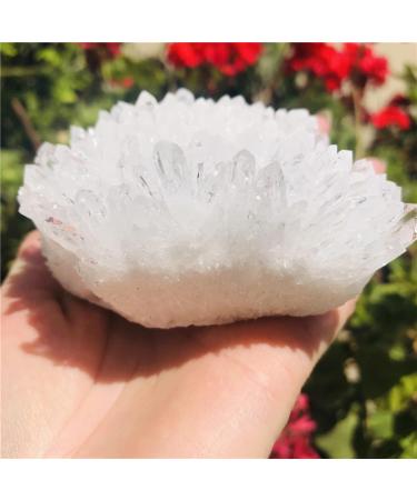 White Clear Crystal Stone Cluster Irregular Quartz Minerals for Reiki Crystals and Stones Home Furnishing Decoration Stone Mineral Specimen (Color : White Size : 300-350g) 300-350g White - Buy Online on GoSupps.com