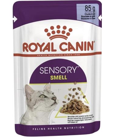 Royal Canin Sensory Smell in Jelly Wet Cat Food 85g (Pack of 24)