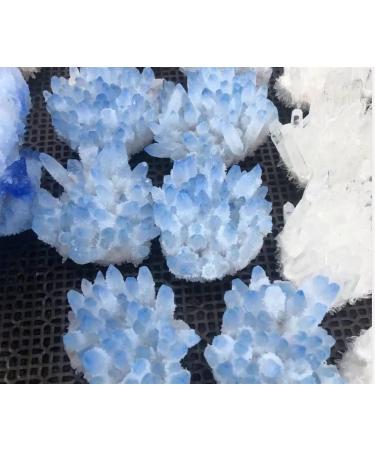 300g-450g Natural Blue Phantom Ghost Quartz Cluster for Decoration 1pc Can be Used for (Color : 1PC) HOMEZHOU - Buy Online on GoSupps.com