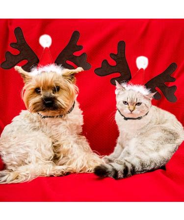 Christmas Pet Headband - Adjustable Reindeer Antlers & Moose Costume for Dogs & Cats | Perfect Holiday Gift Outfit - Buy Online on GoSupps.com
