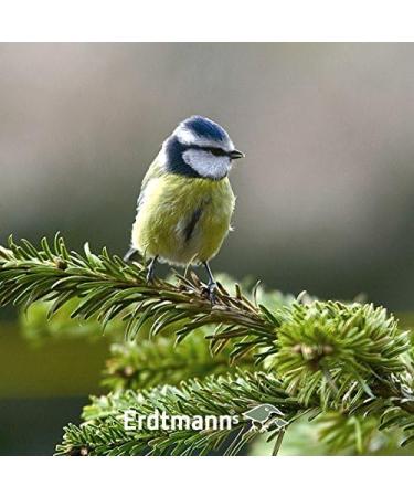 Erdtmanns 35 Fat Balls in Bucket - 3 kg Bird Feed for Garden - No Net - International Shipping Available - Buy Online on GoSupps.com