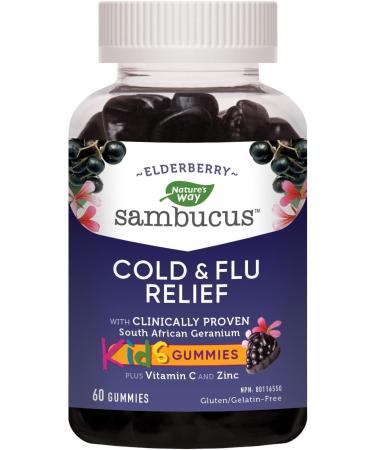 Nature's Way Sambucus Immune Cold and Flu Care Elderberry Gummies & Sambucus Cold and Flu Relief Elderberry Gummies for Kids - Buy Online on GoSupps.com