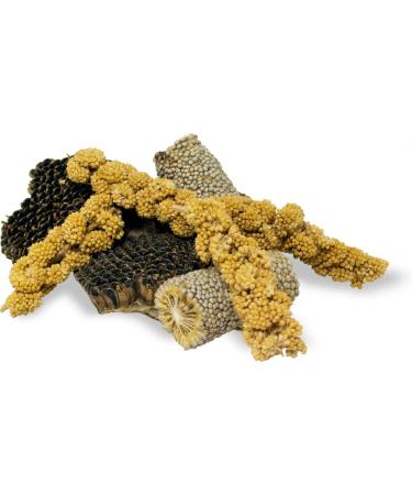 JR Farm Knabber Pieces 50g - Premium Pet Treats for All Pets | Shop Internationally - Buy Online on GoSupps.com