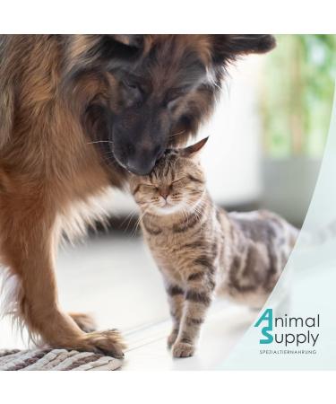 Animal Supply Worm Cabbage Liquid Drops XL 110ml - Natural Worm Cure for Dogs & Cats No Anthelmintic - Buy Online on GoSupps.com