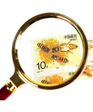 10X Glass HD Lens Redwood Handle Large Handheld Magnifier for Kids Jewellers Reading Newspaper Books Elderly The Best Gift Loupe Good Times - Buy Online on GoSupps.com