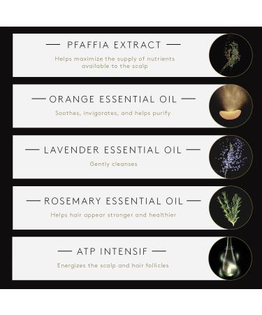 Ren Furterer TRIPHASIC Strengthening Shampoo - Thinning Hair Treatment for Men & Women - Fortify Hair's Strength with Scalp Nutrition - 6.7 Fl Oz - Buy Online on GoSupps.com