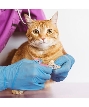 9-Piece Cat Bathing Set - Anti Bite & Scratch Grooming Bag, Brush, Comb, Muzzle, Nail Clipper, File, Tick Tool - Pink - Buy Online on GoSupps.com