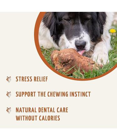 Wildfang Chewing Root for Dogs - Durable Dental Care Toy Splinter-Low Chewing Wood 3 Set for Optimal Health | International Shipping - Buy Online on GoSupps.com
