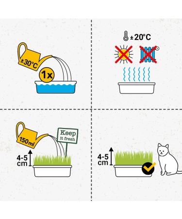 GimCat Hydro Grass - Certified Fresh Cat Grass Ready in 5-8 Days - 1 Punnet (150g) - Buy Online on GoSupps.com