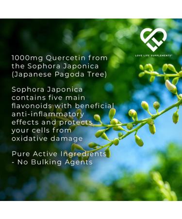 Quercetin & Bromelain Supplement | Powerful Antioxidant | 1000mg Quercetin & 500 GDU Bromelain | 60 Capsules - 30 Servings | Love Life Supplements - Buy Online on GoSupps.com