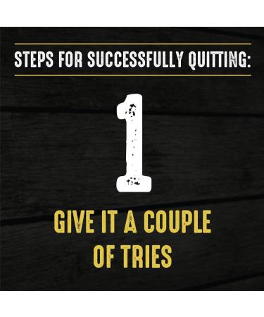 BaccOff Original Straight Pouches - Premium Tobacco & Nicotine Free Snuff Alternative (5 Cans) - Buy Online on GoSupps.com