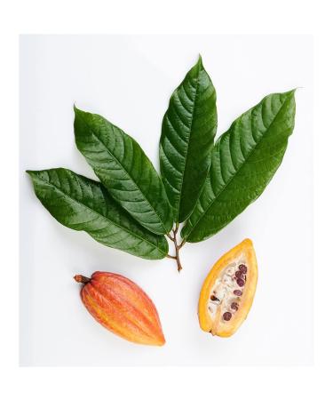 Buy 2x Caotina Original Chocolate Delight - 500g | Delicious Chocolate Treat - International Shipping Available - Buy Online on GoSupps.com