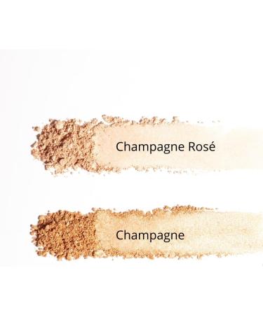 T.LeClerc Vegan Powder Highlighter/Highlighter Champagne - Buy Online on GoSupps.com