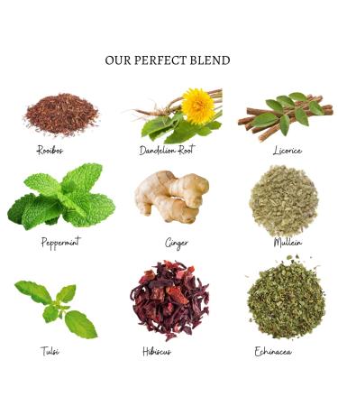Daily Detox Cleanser - Peppermint Dandelion Root Ginger Tulsi Rooibos Licorice Hibiscus Echinacea Mullein - 100% Organic Herbs - No Additive - Buy Online on GoSupps.com