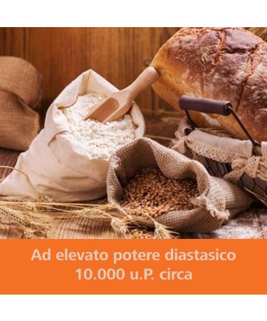 Grocer Planet - Diastatic Malt Flour (500g) | Barley Malt Flour with High Diastatic Power | Ideal for Bread Making | Made in - Buy Online on GoSupps.com