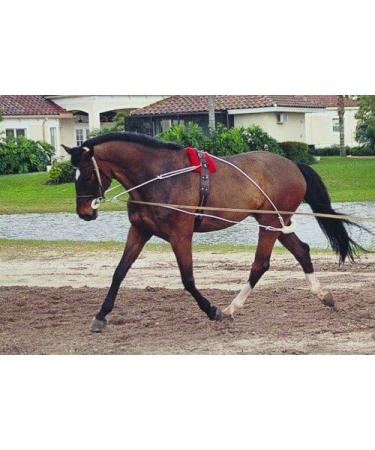 Hunters Saddlery Ultimate Horse Lunging Training Aid System - Black 03 Cob/Horse Size - Buy Online on GoSupps.com