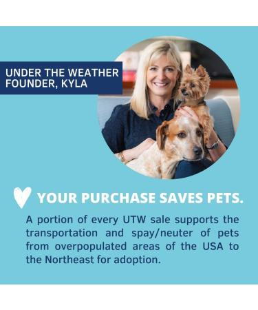Under the Weather Easy to Digest Bland Dog Food Diet for Sick Dogs with Electrolytes - Gluten Free, All Natural, Freeze Dried - 6 Pack of Rice, Chicken & Bone Broth 6oz - Buy Online on GoSupps.com