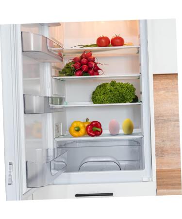 Beaupretty 2pcs Refrigerator Deodorizer Eggs - Absorb Odors & Freshen Your Fridge - Diatomite Air Fresheners for Home & Kitchen - Buy Online on GoSupps.com