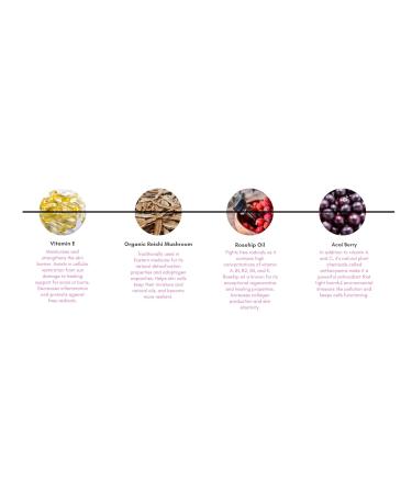 Buy Super Antioxidant Ageless Serum - Rejuvenate & Protect Your Skin | International Shipping Available - Buy Online on GoSupps.com