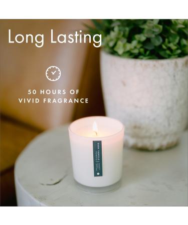 Shop ScentAir Patchouli Blanc Scented Glass Jar Candle - International Shipping Available - Buy Online on GoSupps.com